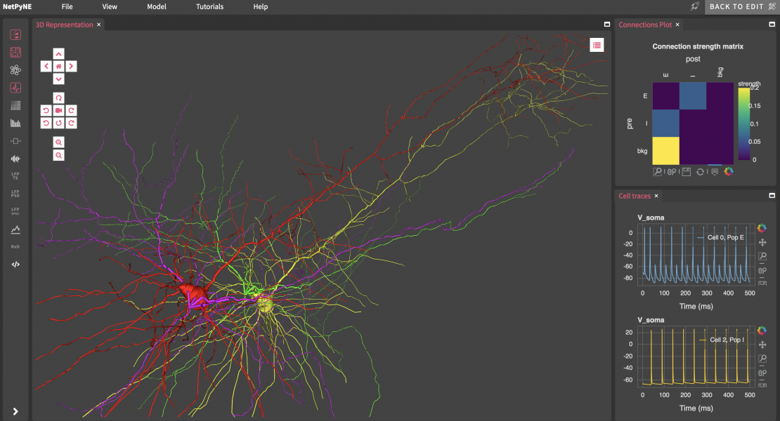 NetPyNE multiscale modeling tool