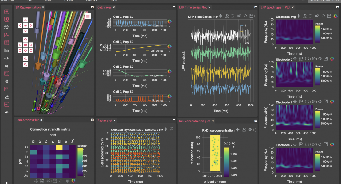 NetPyNE multiscale modeling tool