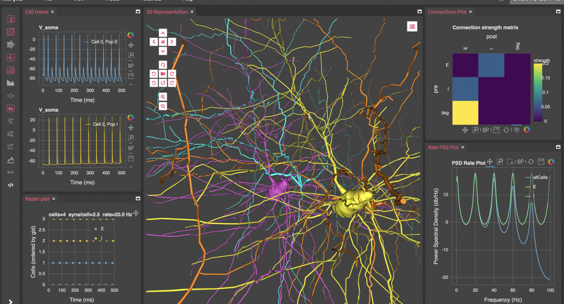 NetPyNE multiscale modeling tool